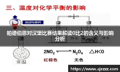 帕德伯恩对汉堡比赛结果解读0比2的含义与影响分析